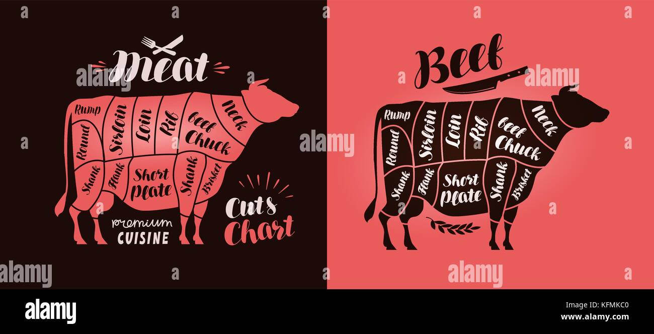 Carne cortada gráficos. alimentos, carnicería, carne concepto. ilustración vectorial Ilustración del Vector