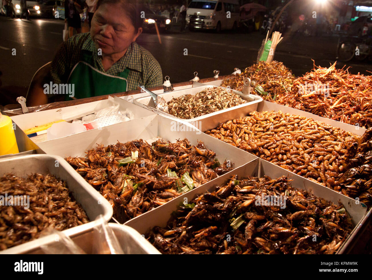 Bangkok, Tailandia - Diciembre 6, 2012: Una vendedora callejera ofrece un surtido de insectos fritos. Foto de stock