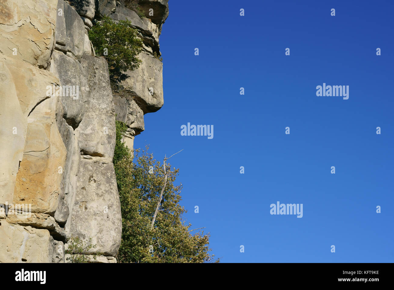 Formación natural de piedra arenisca que parece el perfil de un hombre. Annot, Alpes de Alta Provenza, Francia. Foto de stock