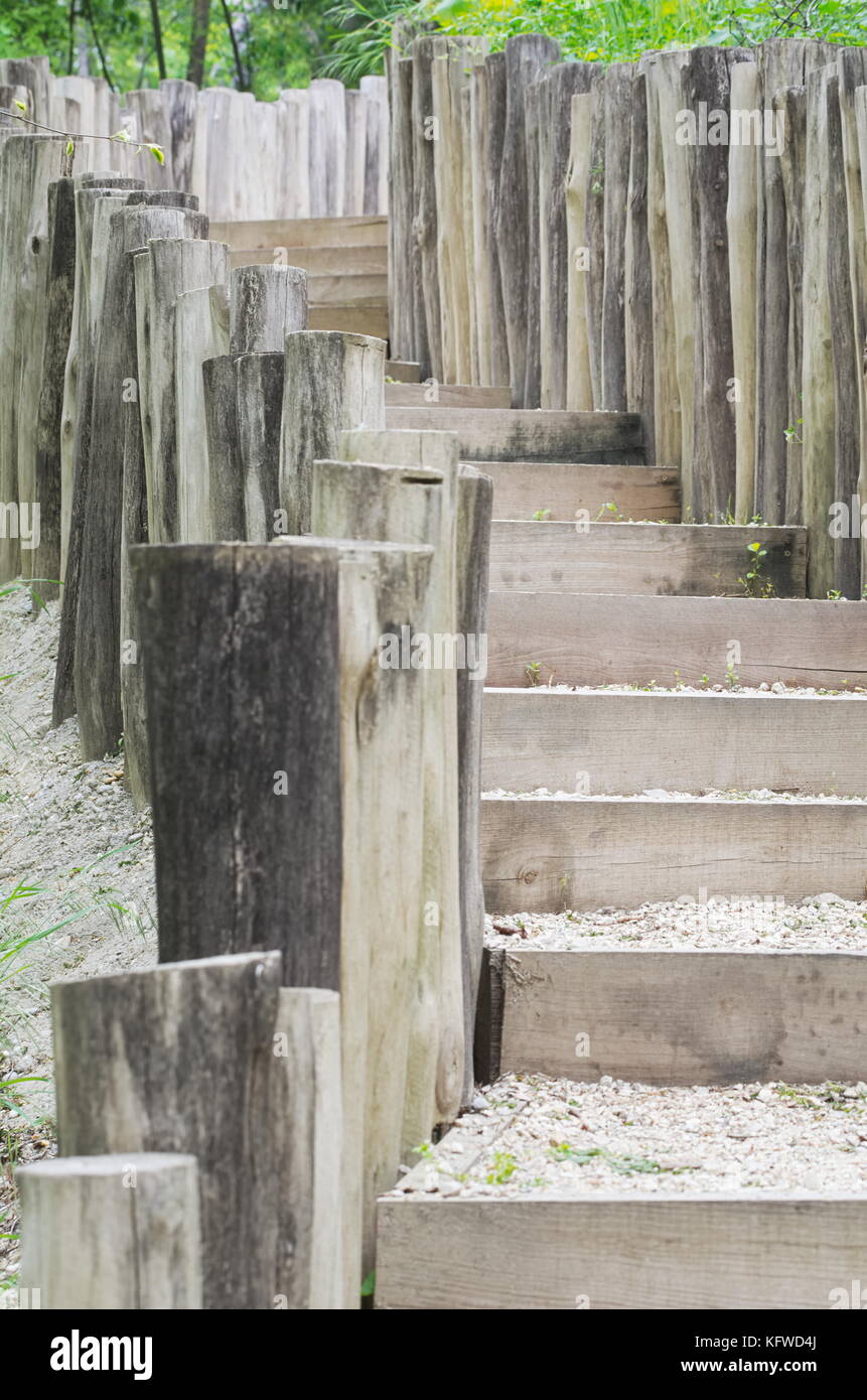 Escaleras de madera gris desigual en la naturaleza closeup Foto de stock
