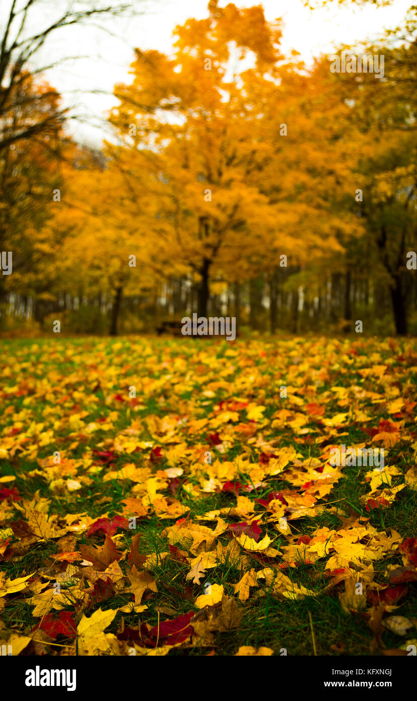 Clima de pennsylvania fotografías e imágenes de alta resolución Alamy