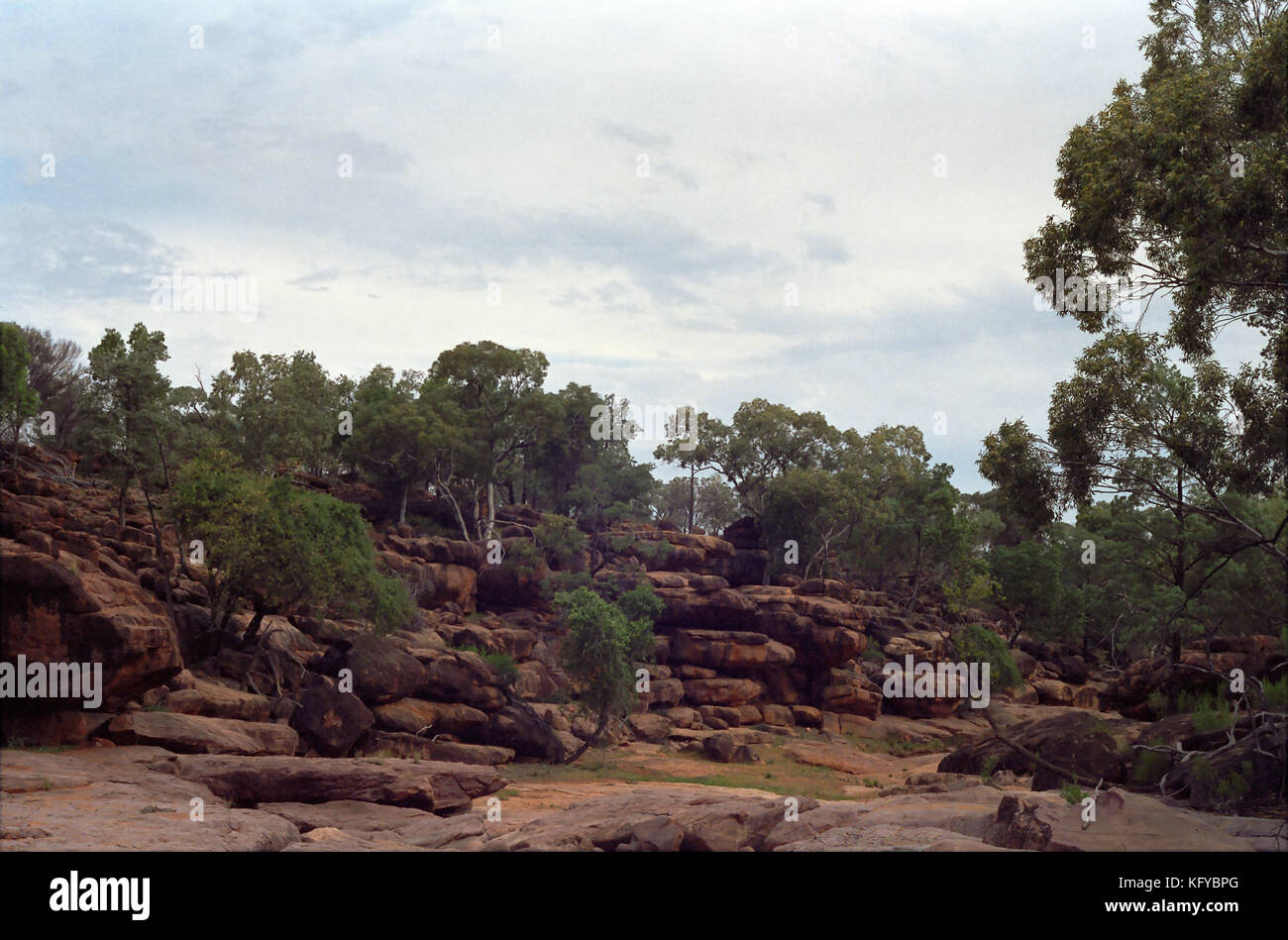 Bush al país, el Monte Gunderbooka Mullareena Creek, New South Wales, Australia. Foto de stock