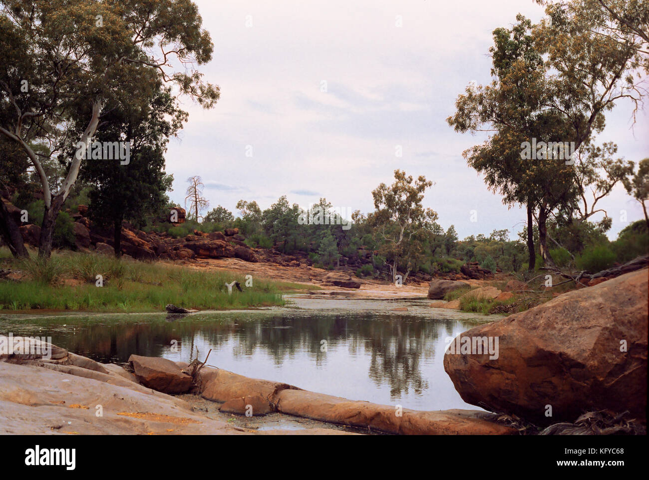 Billabong, Mullareena Creek, Monte Gunderbooka, New South Wales, Australia Foto de stock