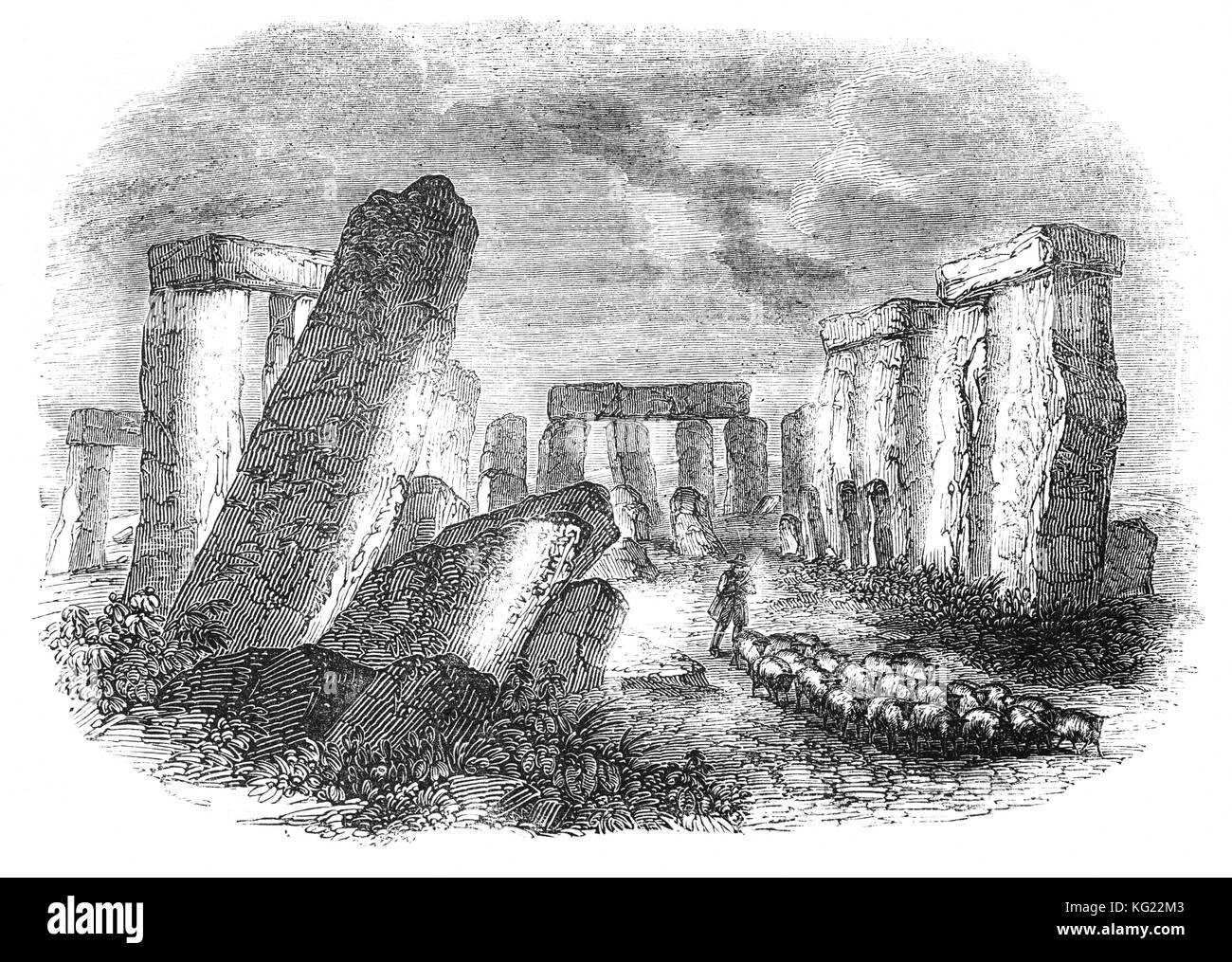 El pastor y las ovejas en Stonehenge, un prehistórico monumento neolítico y la Edad de Bronce en Wiltshire, Inglaterra, que consta de un anillo de piedras y construidos a partir de 3000 A.C. a 2000 BC. Popularmente se cree que tienen un fuerte connevction con el culto de los druidas. Foto de stock