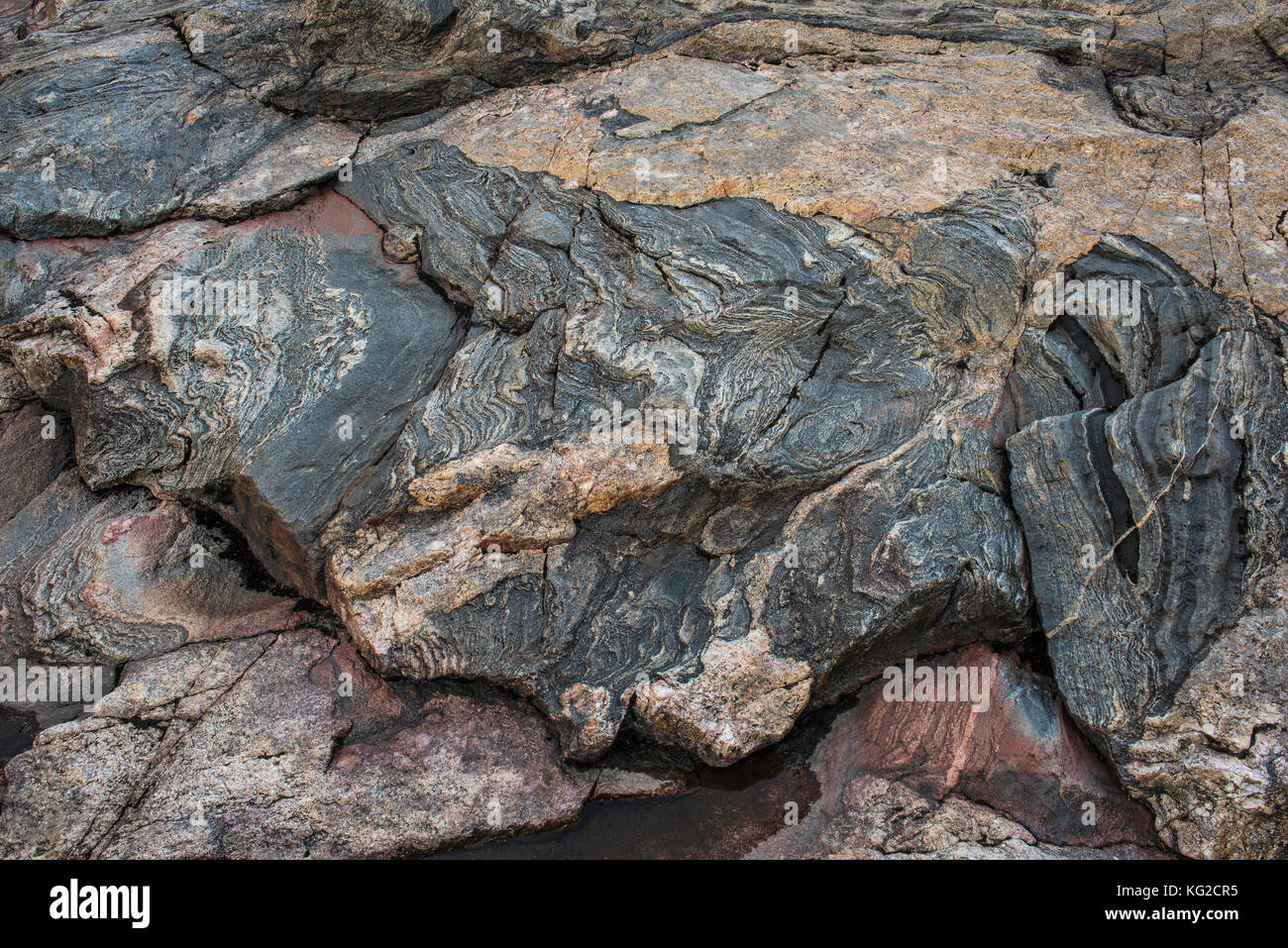 Gray Banded gneis, antiguo lecho rocoso, el Lago Superior Provincial Park, Ontario, Canadá por Bruce Montagne/Dembinsky Foto Assoc Foto de stock