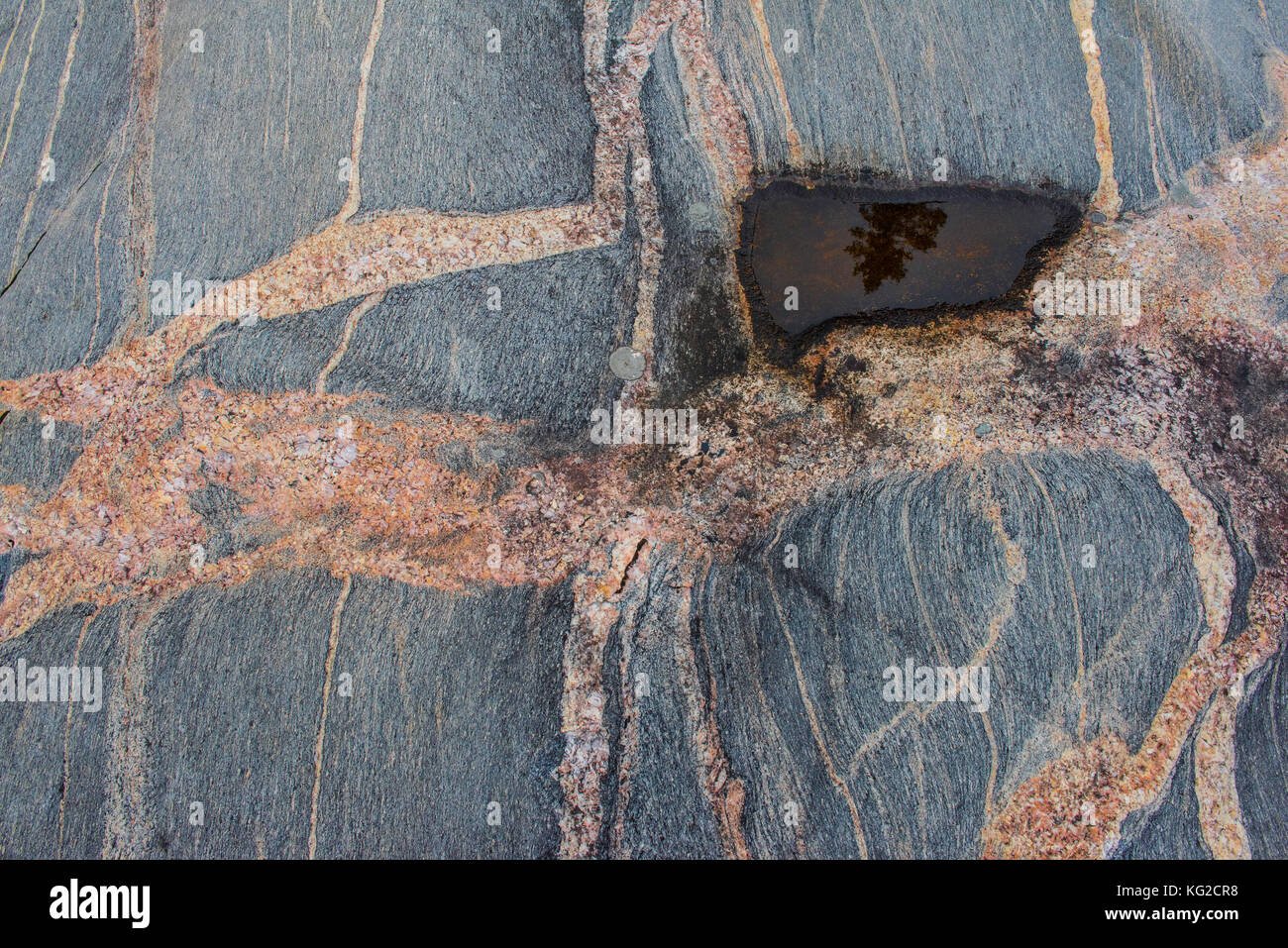 Gray Banded gneis, antiguo lecho rocoso, el Lago Superior Provincial Park, Ontario, Canadá por Bruce Montagne/Dembinsky Foto Assoc Foto de stock