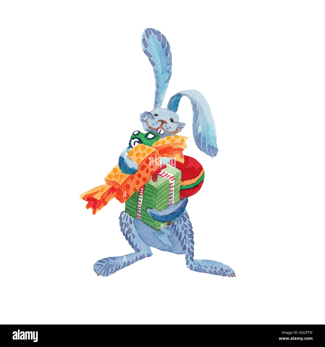 Conejo liebre azul tiene regalos para Navidad Foto de stock