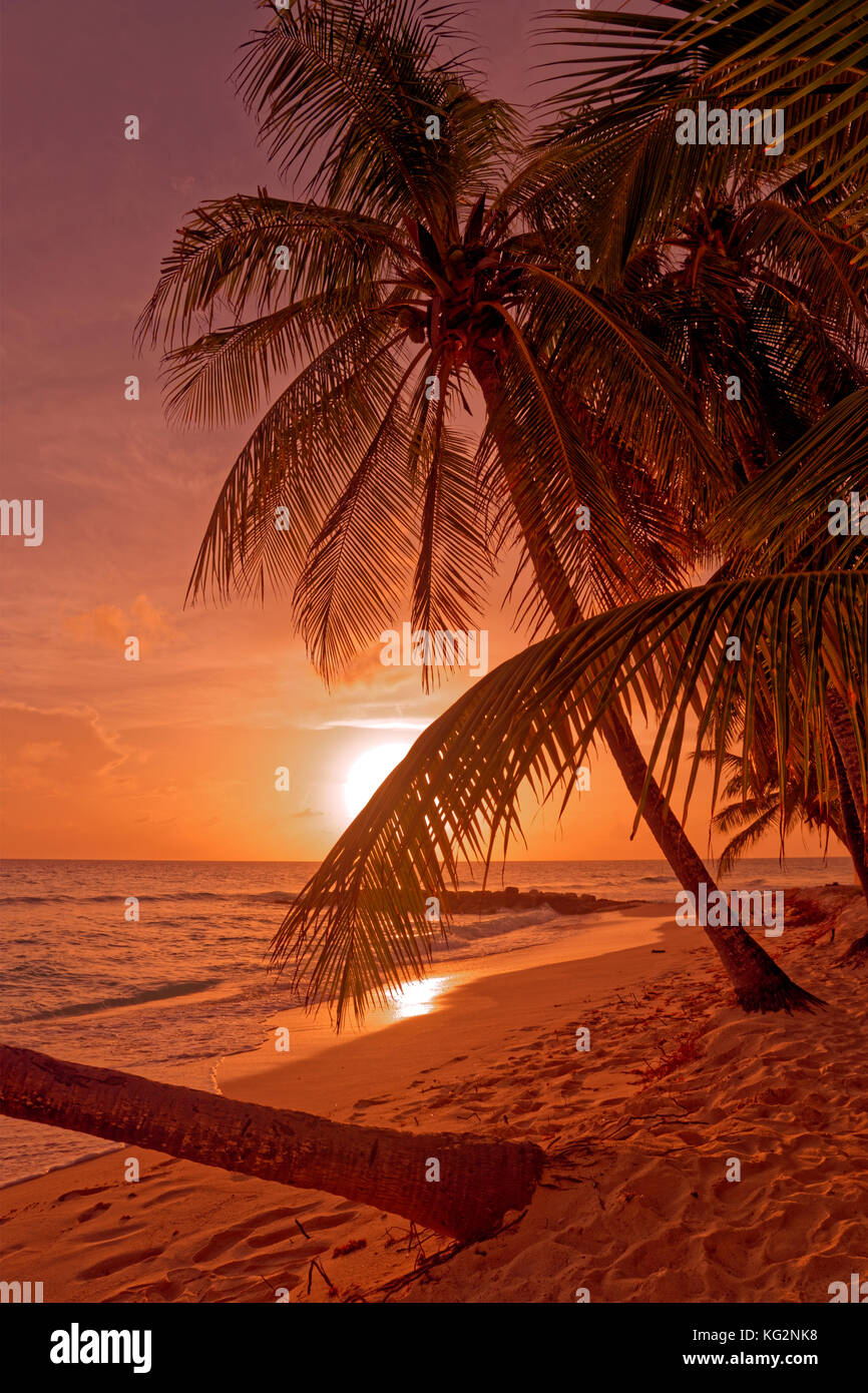 Atardecer en la playa de Dover, St. Lawrence Gap, South Coast, Barbados, Caribe. Foto de stock