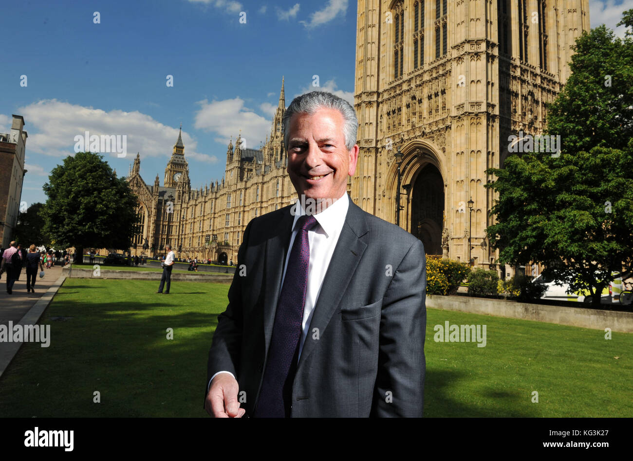 Mike Thornton, Liberal Demócrata MP fotografiado fuera de las Casas del Parlamento, en Westminster, Londres. Foto por Michael Walter/Troika Foto de stock