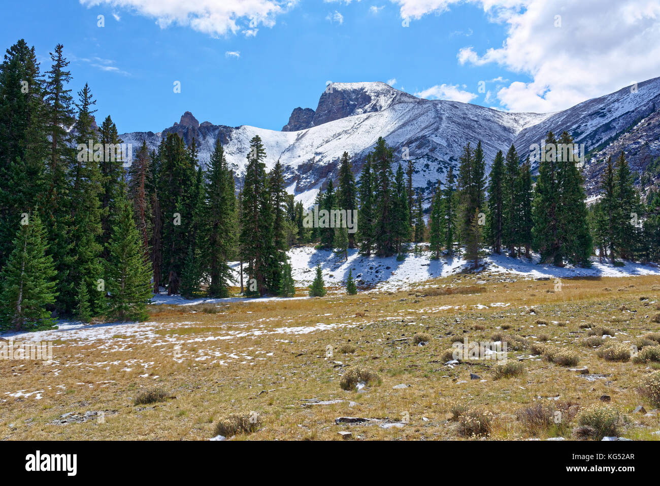 Wheeler Peak en Great Basin National Park, Baker, nevada Foto de stock