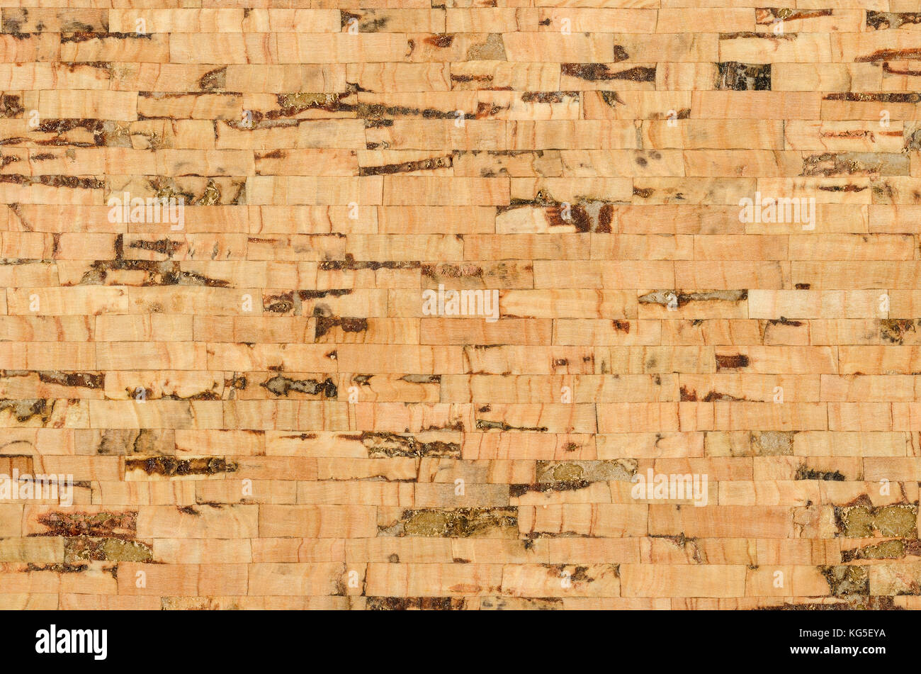 Superficie de hoja de corcho con capas paralelas, compuesto de varias capas de alcornoque, Quercus suber. Los paneles decorativos y las chapas de madera, utilizado como tablones de anuncios. Foto de stock
