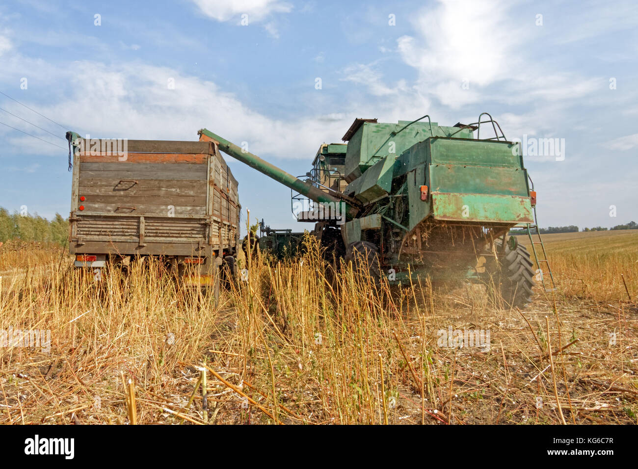 Cosechadora de semillas de girasol de carga en el camión en el momento de  la cosecha en otoño Fotografía de stock - Alamy