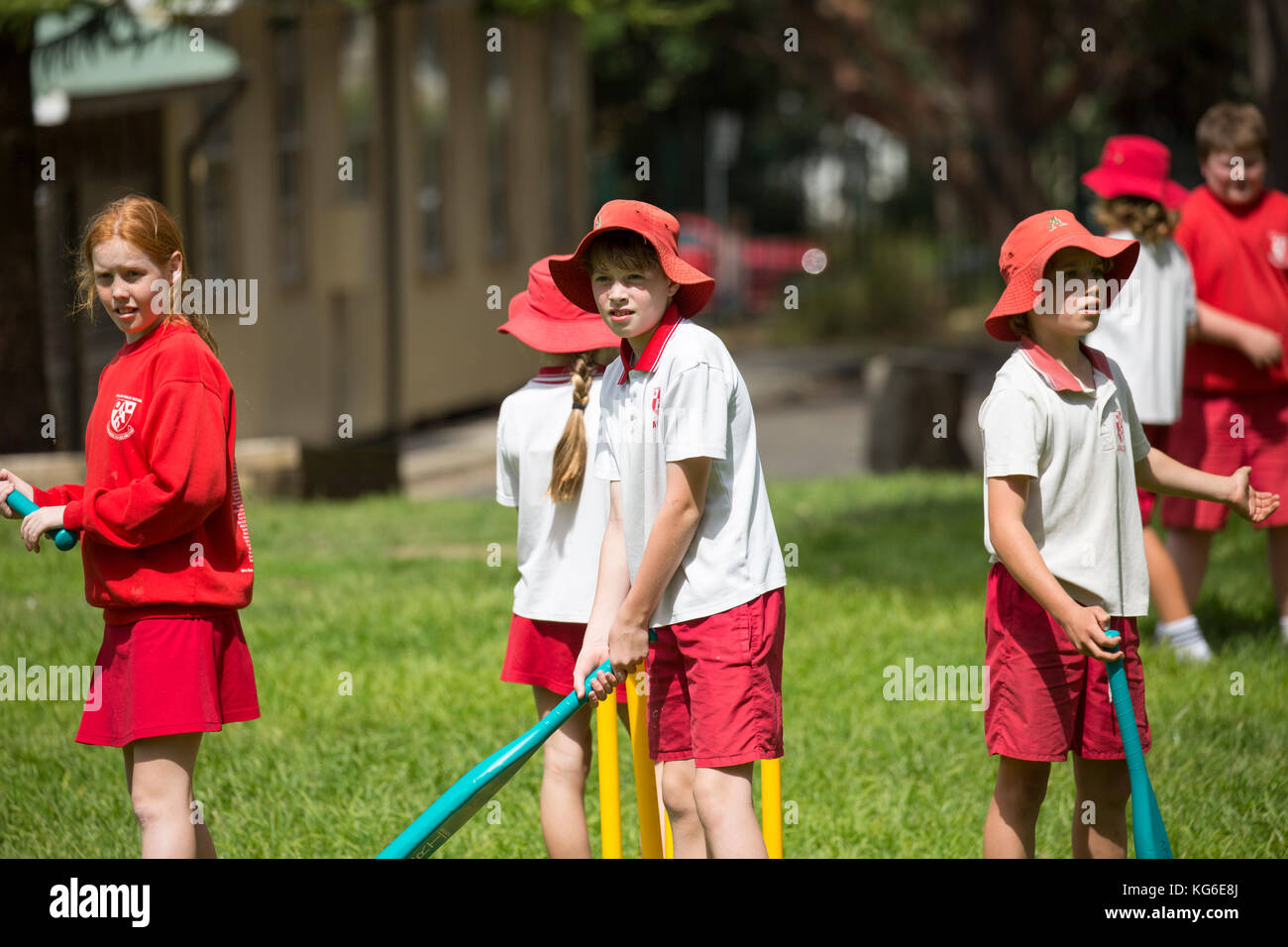 Escuelas australianas niños jugando al deporte de cricket en la escuela, Sydney, Australia Foto de stock