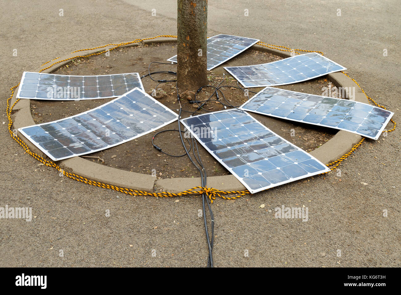 Los paneles solares flexibles / célula solar monocristalino (celda solar  flexible) eficacia de carga bajo el árbol en el suelo. concepto de energía  alternativa Fotografía de stock - Alamy