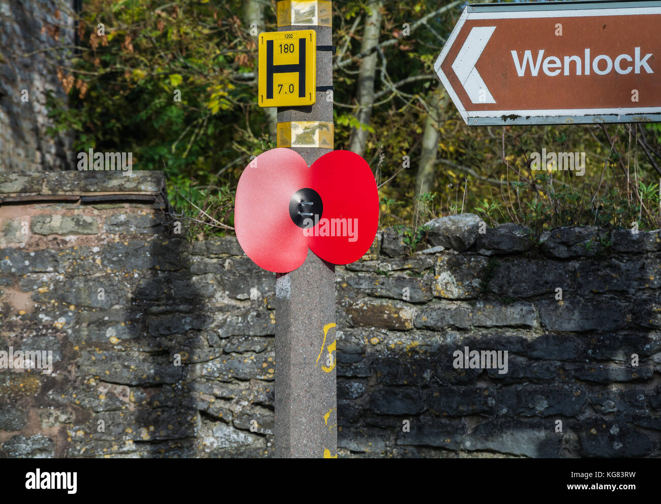 Una gran amapola roja atada a un poste de la luz. Parte de la primera guerra mundial el recuerdo de las conmemoraciones de 2017, Much Wenlock, Shropshire, Reino Unido. Foto de stock