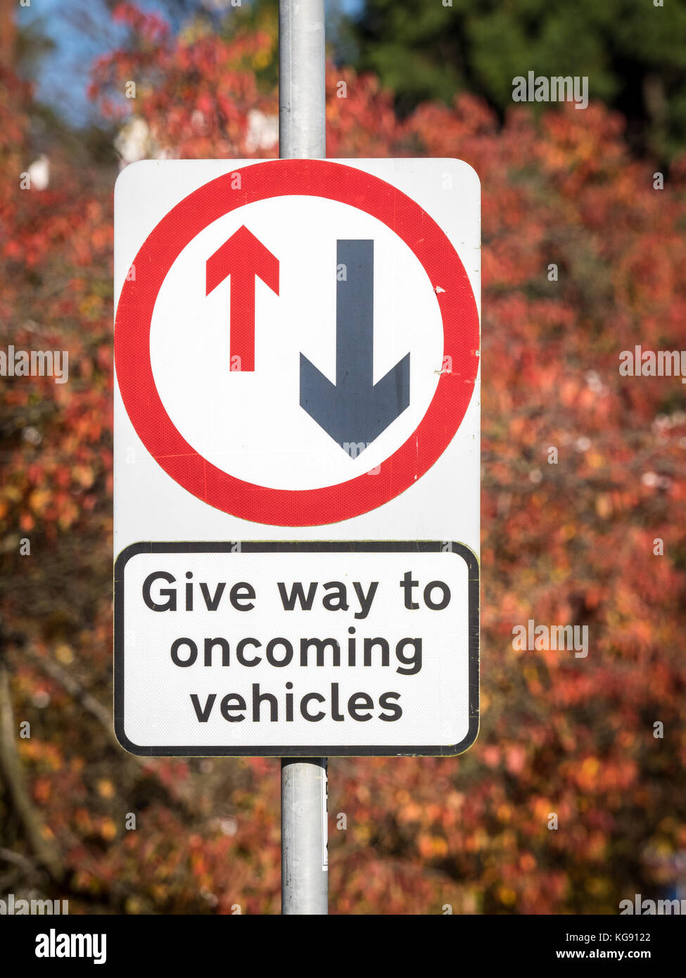 Ceder el paso a vehículos que entran - UK señales de carretera Foto de stock