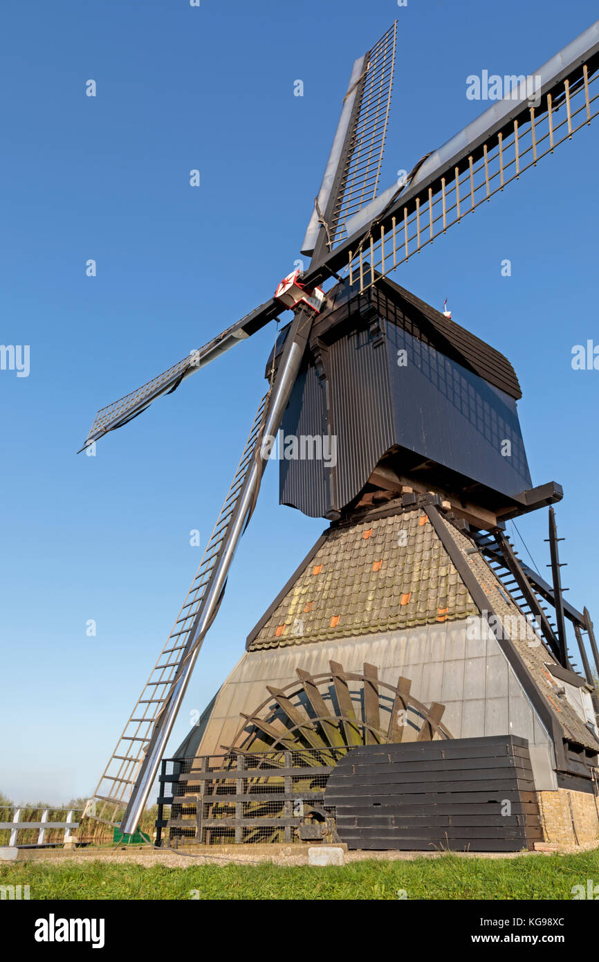 Molinos de viento históricos, patrimonio de la humanidad de la unesco, Kinderdijk, sur de los Países Bajos, Antillas, Europa Foto de stock