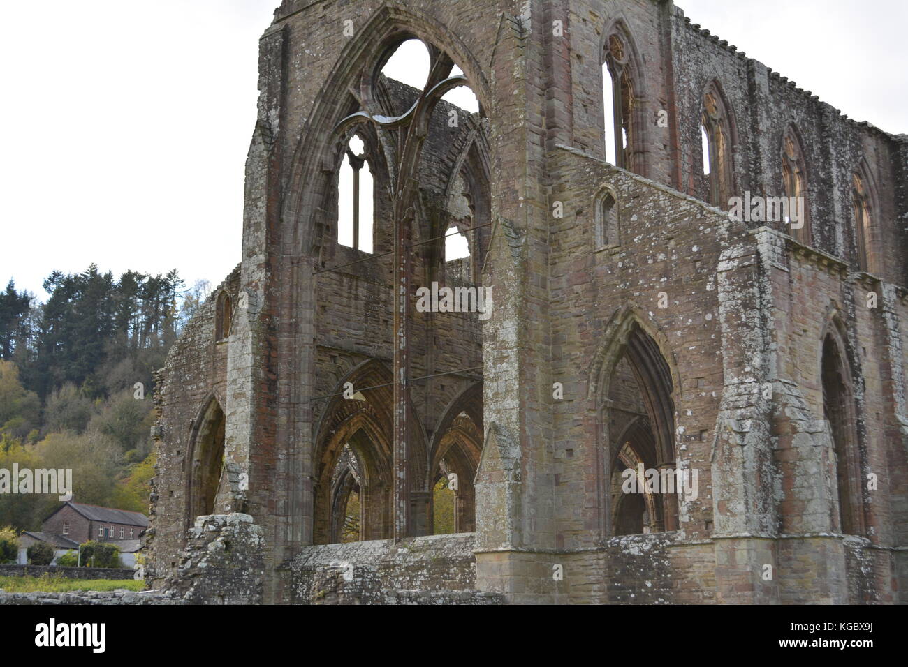 La ABADÍA DE TINTERN monmouthshire uk wales re monasterios disolución detalle arquitectónico ruinas antiguas Foto de stock