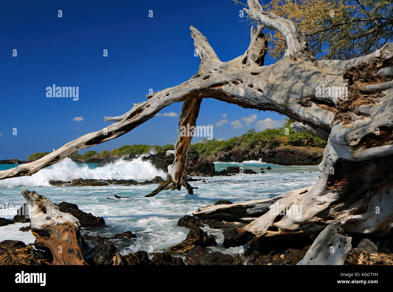 Las olas chocan contra las afiladas rocas de lava negra en esta playa tropical en la Isla Grande de Hawai Foto de stock