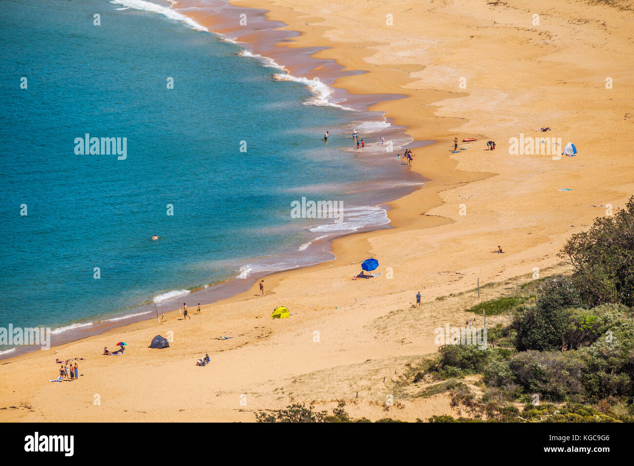 Australia, Nueva Gales del Sur, de la Costa Central, Bouddi National Park, la vida de playa en la playa de Putty Foto de stock