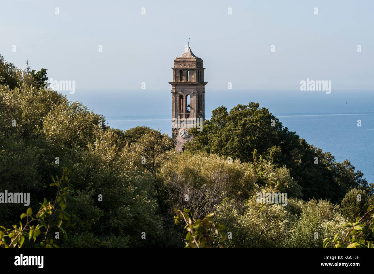 Córcega: maquis mediterráneo con vistas al campanario de la iglesia de pino, aldea de la haute-corse en el lado occidental de Cap Corse Foto de stock
