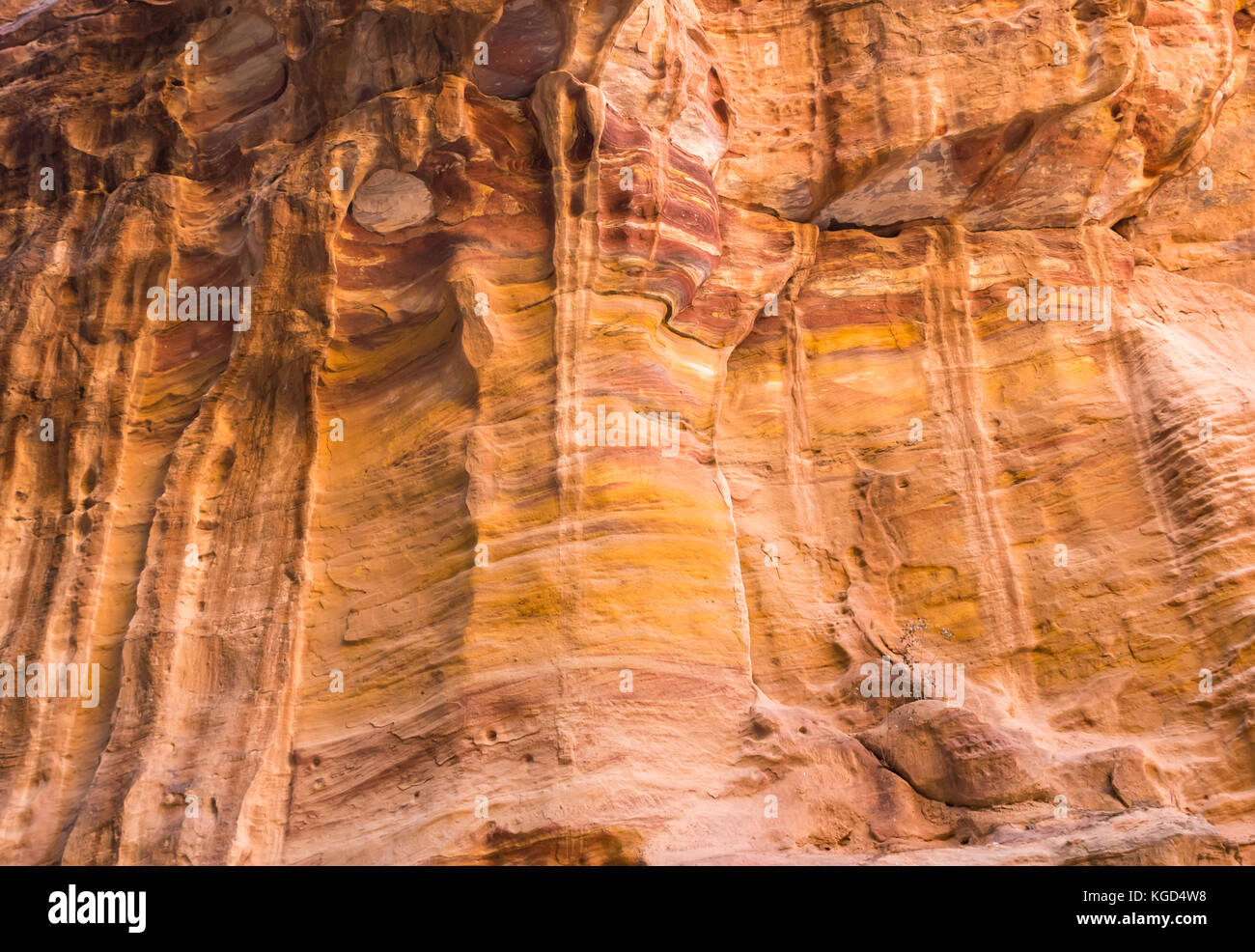 Cerca de colorido amarillo y piedra arenisca rosa de patrones ondulados en barranco acantilado pared del Siq, Petra, Jordania, Oriente Medio Foto de stock