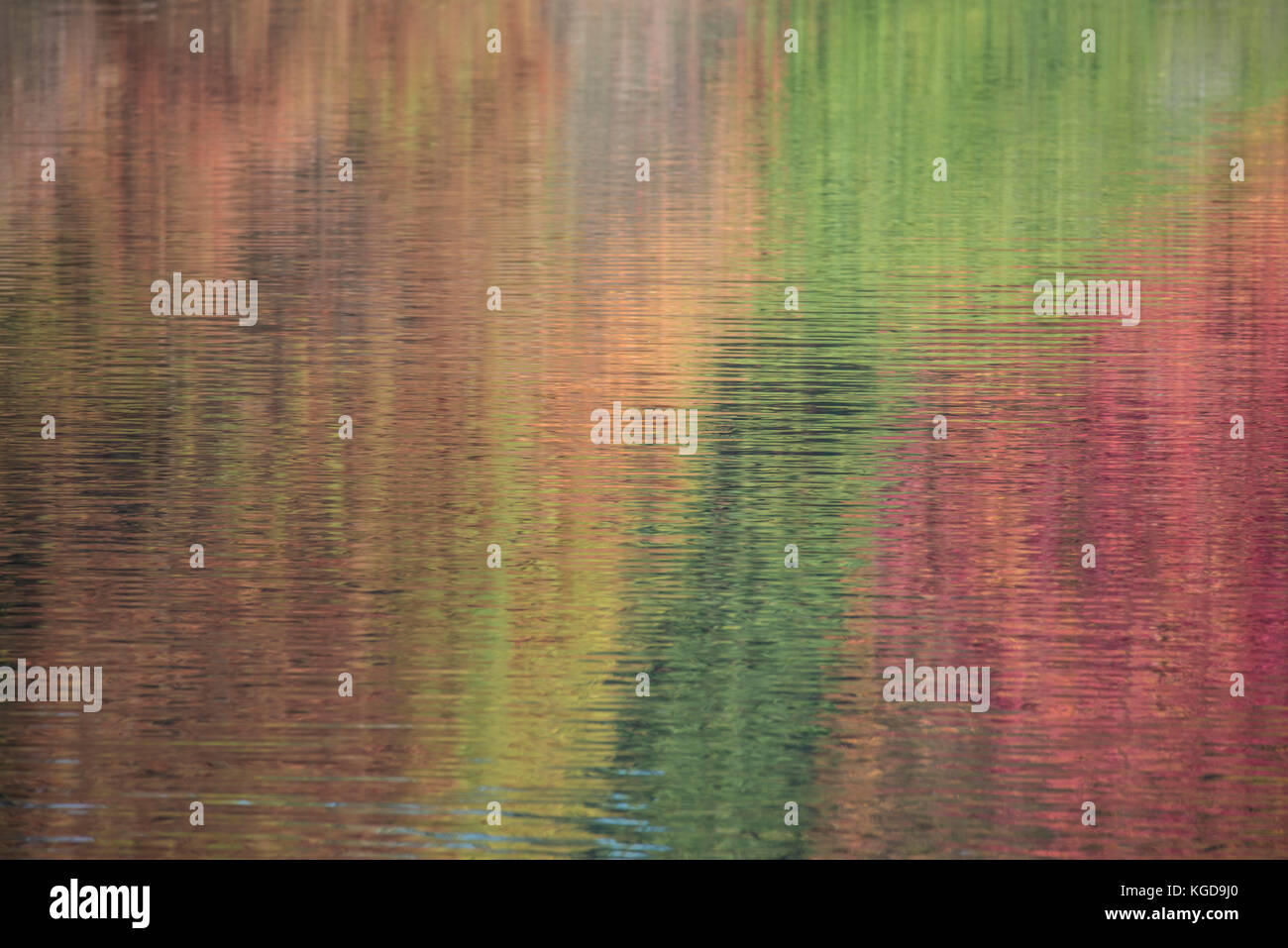 Colores de otoño - los árboles se reflejan en el agua. Foto de stock