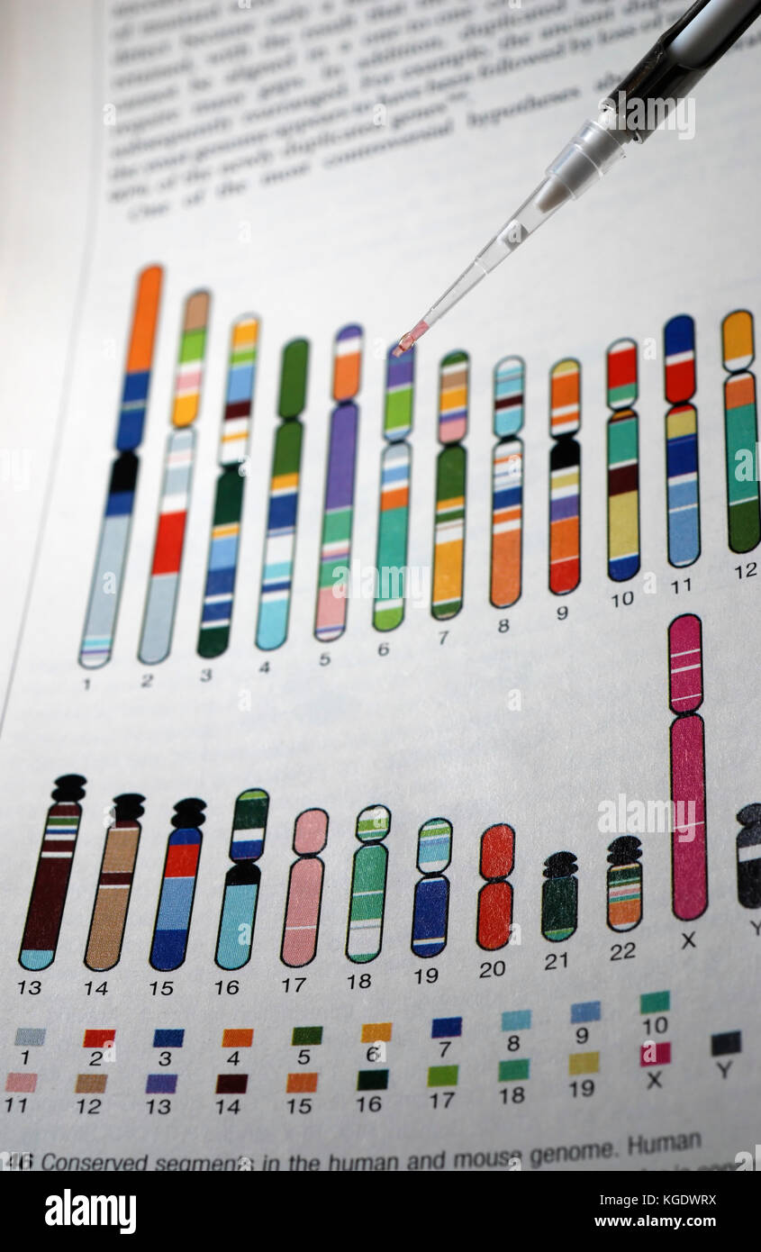La investigación del DNA con gráficos gráficos en el fondo de referencia Foto de stock