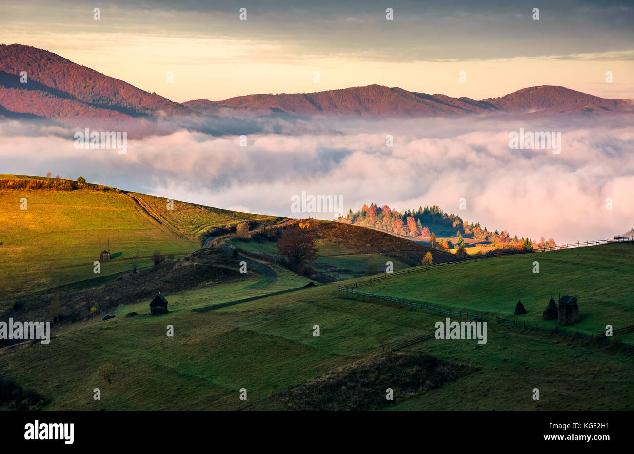 Ladera de hierba por encima de la espesa niebla en las montañas. hermoso amanecer en el paisaje rural Foto de stock