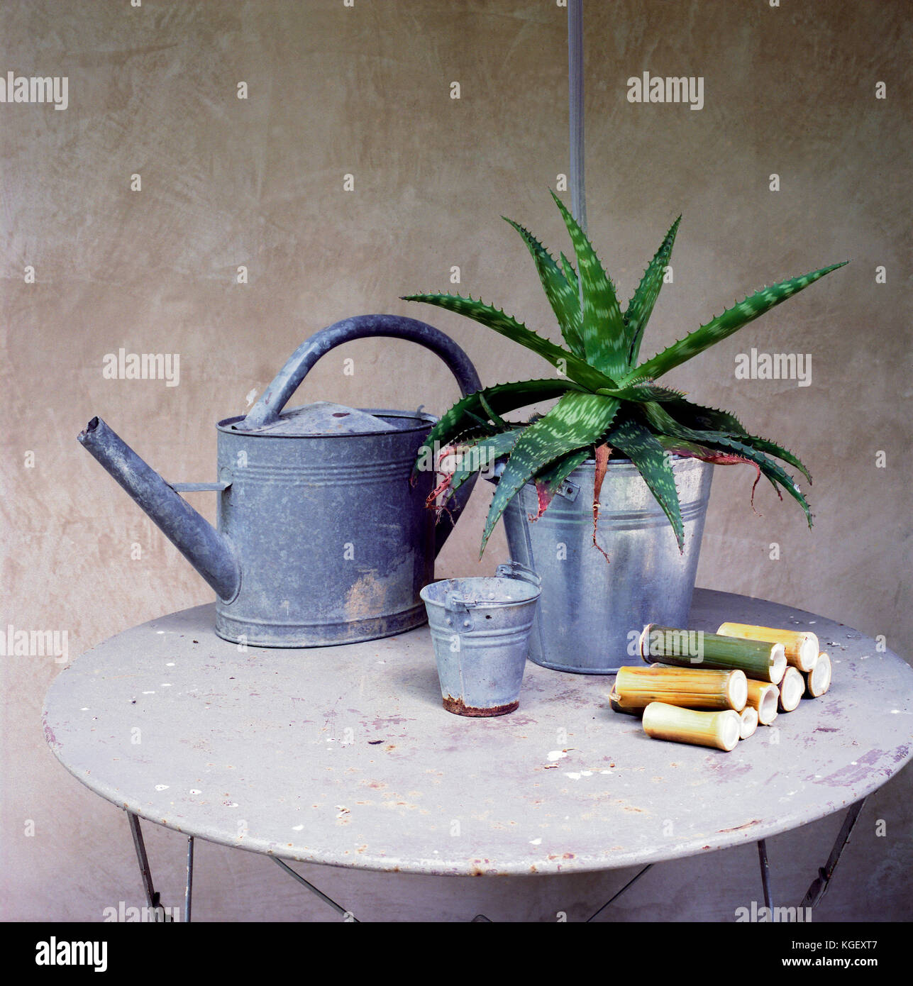 Los bodegones de objetos y herramientas procedentes de un jardín: una regadera, una planta grasa una pequeña cuchara de metal y algunos pedazos de bambú cortadas en una tabla Foto de stock