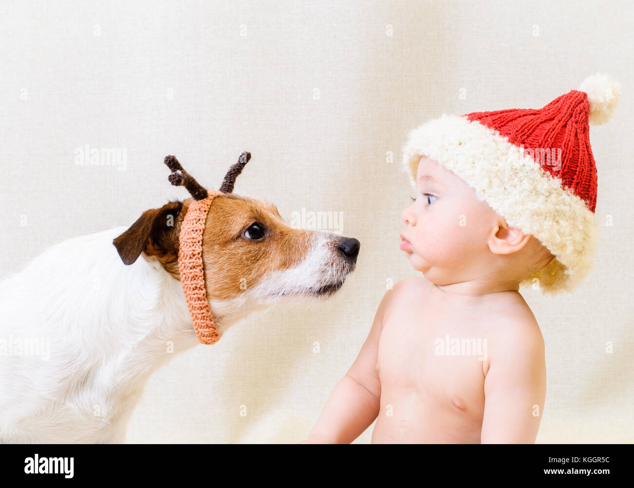 Perro de la tierra fotografías e imágenes de alta resolución - Alamy