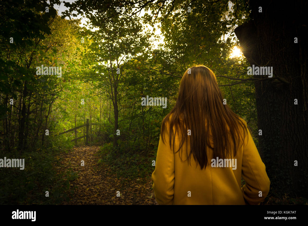 Otoño a pie en el parque forestal Foto de stock