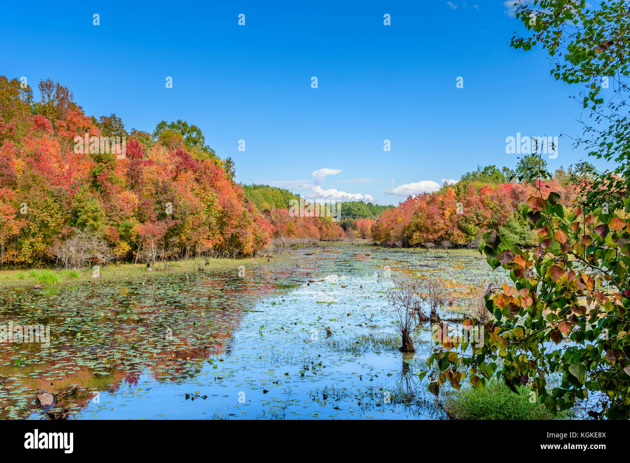 Otoño o colores de otoño en un pequeño lago en el centro sur de Alabama, Estados Unidos. Foto de stock