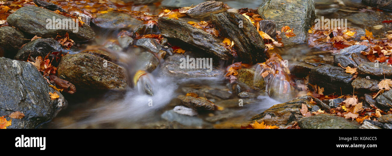 EE.UU. Vermont. Región del Monte Mansfield. Cerca de la corriente que fluye rápidamente con las rocas y las hojas del otoño. Foto de stock