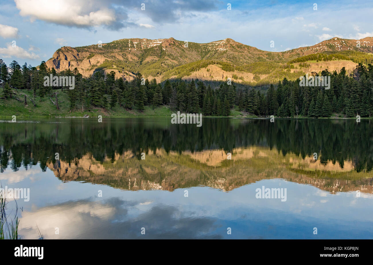 Trout Lake en el parque nacional de Yellowstone Foto de stock