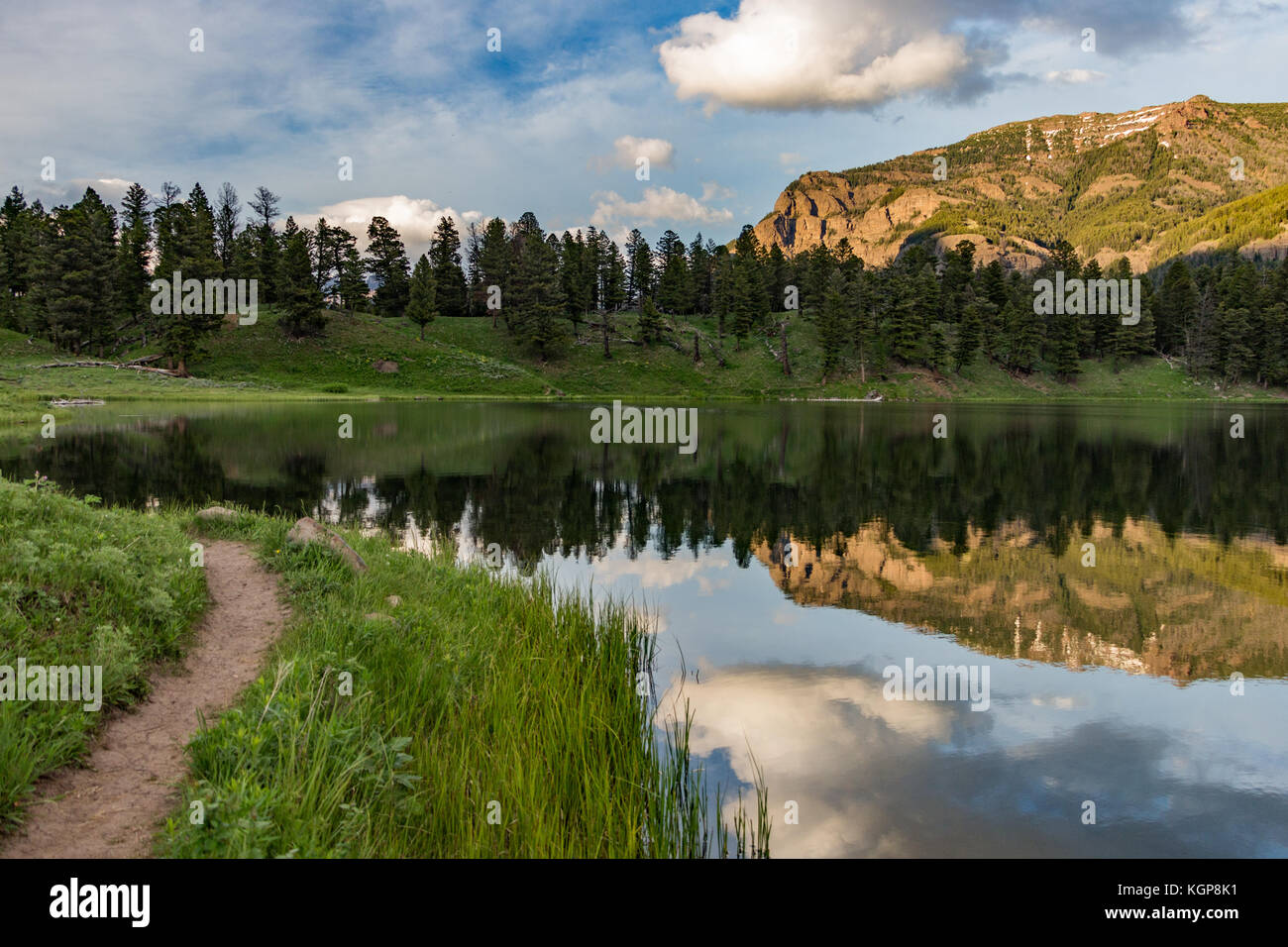 Trout Lake en el parque nacional de Yellowstone Foto de stock