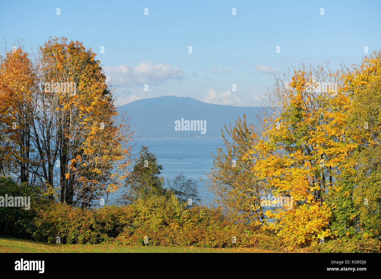 Vista de árboles de hoja caduca con el follaje de otoño, Burrard Inlet, y North Shore Mountains, Vancouver, BC, Canadá Foto de stock