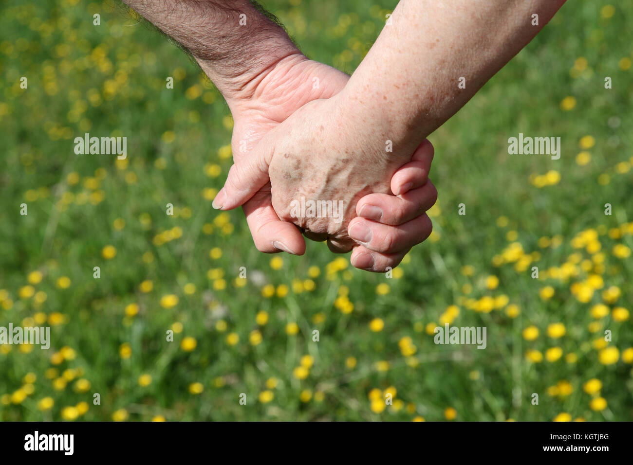 Primer plano de las manos de la pareja senior Foto de stock