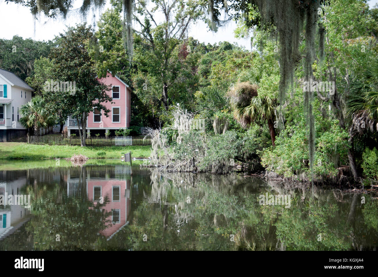 Reglas de agua en Port Royal, una pequeña comunidad en la costa de Carolina del Sur; las casas están sobre pilotes, garcetas rellenar waterside árboles Foto de stock