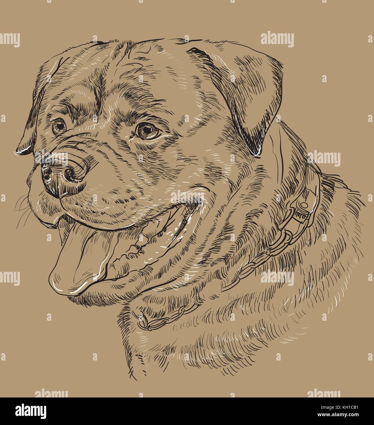 Rottweiler vector de dibujo a mano alzada en blanco y negro ilustración aislado sobre fondo beige Ilustración del Vector