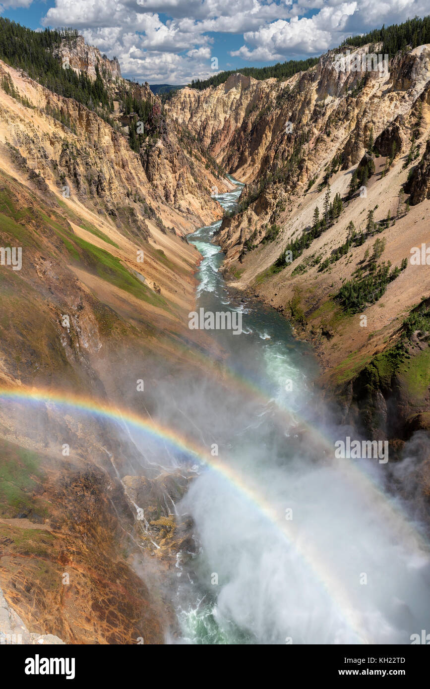 Gran Cañón del Yellowstone National Park Foto de stock