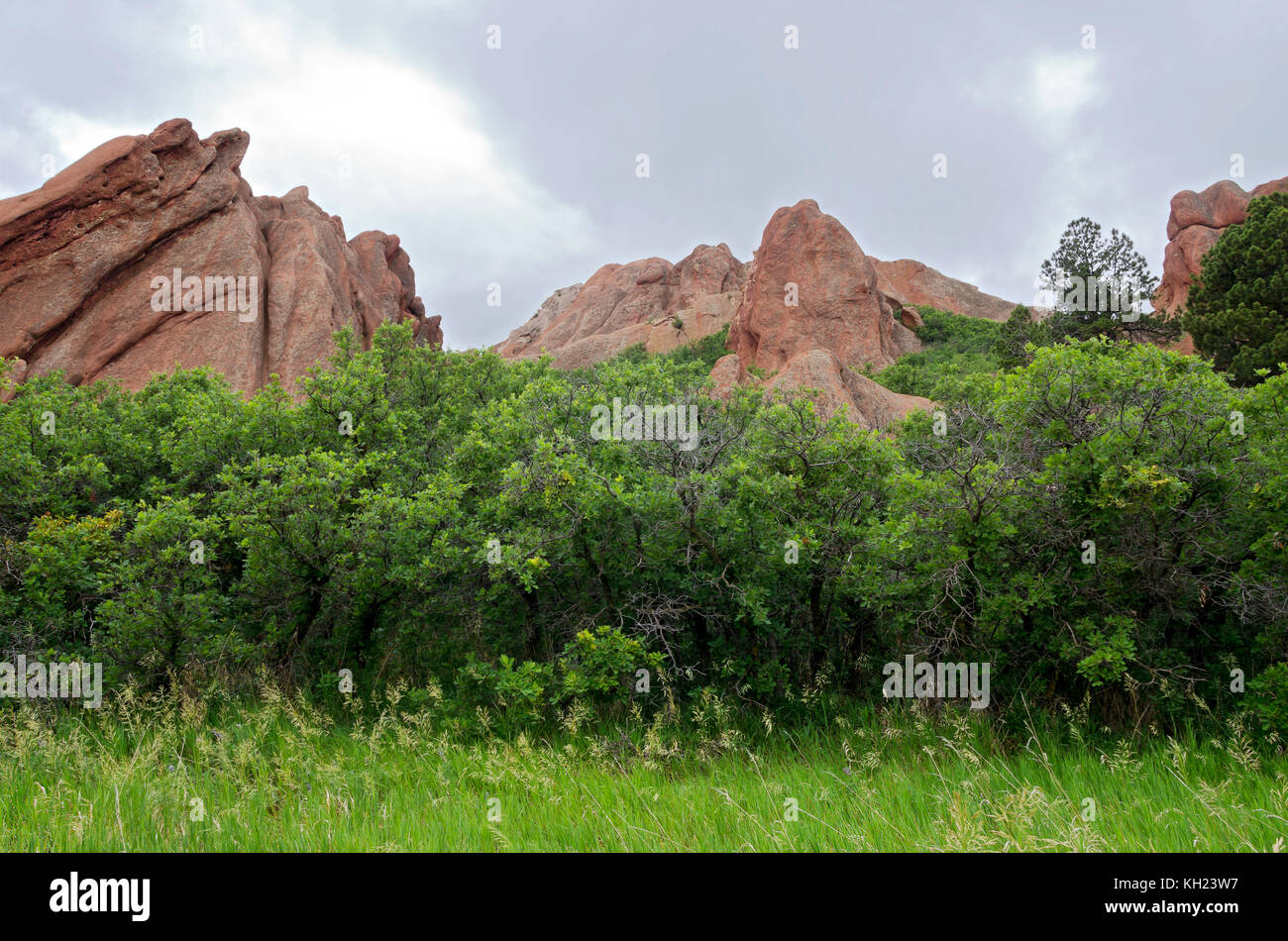 Prado de árboles y formaciones de roca en roxborough State Park en el Condado de Douglas colorado Foto de stock