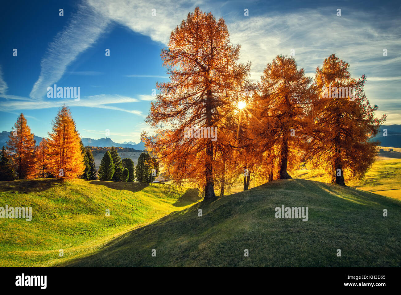 Antena amanecer de otoño paisaje con árboles de color amarillo