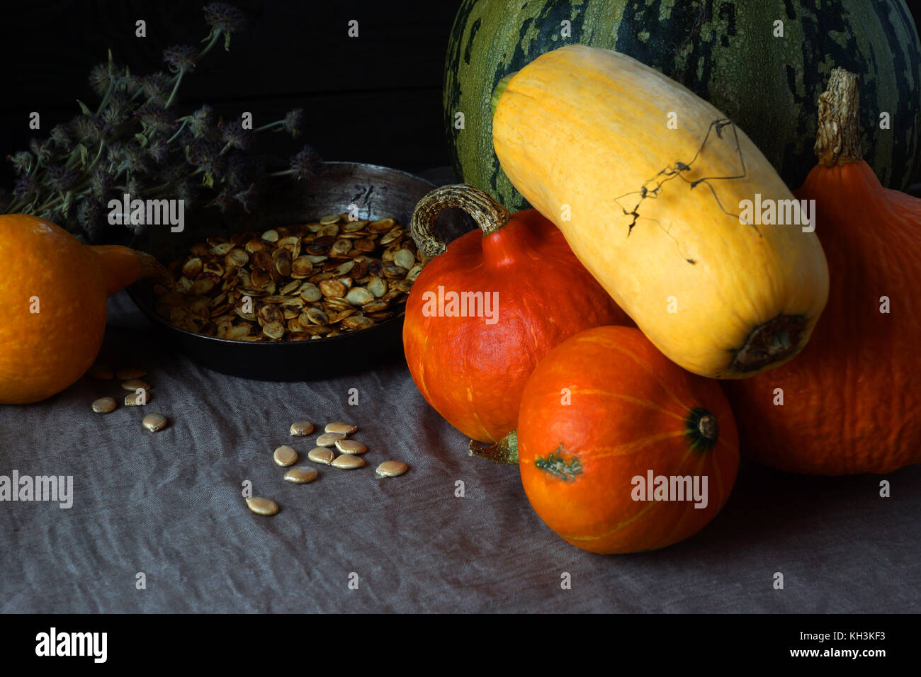 Todavía la vida de diferentes tipos de calabaza y semillas de calabaza. En el fondo de una sartén con semillas de calabaza frita y hierbas. Foto de stock