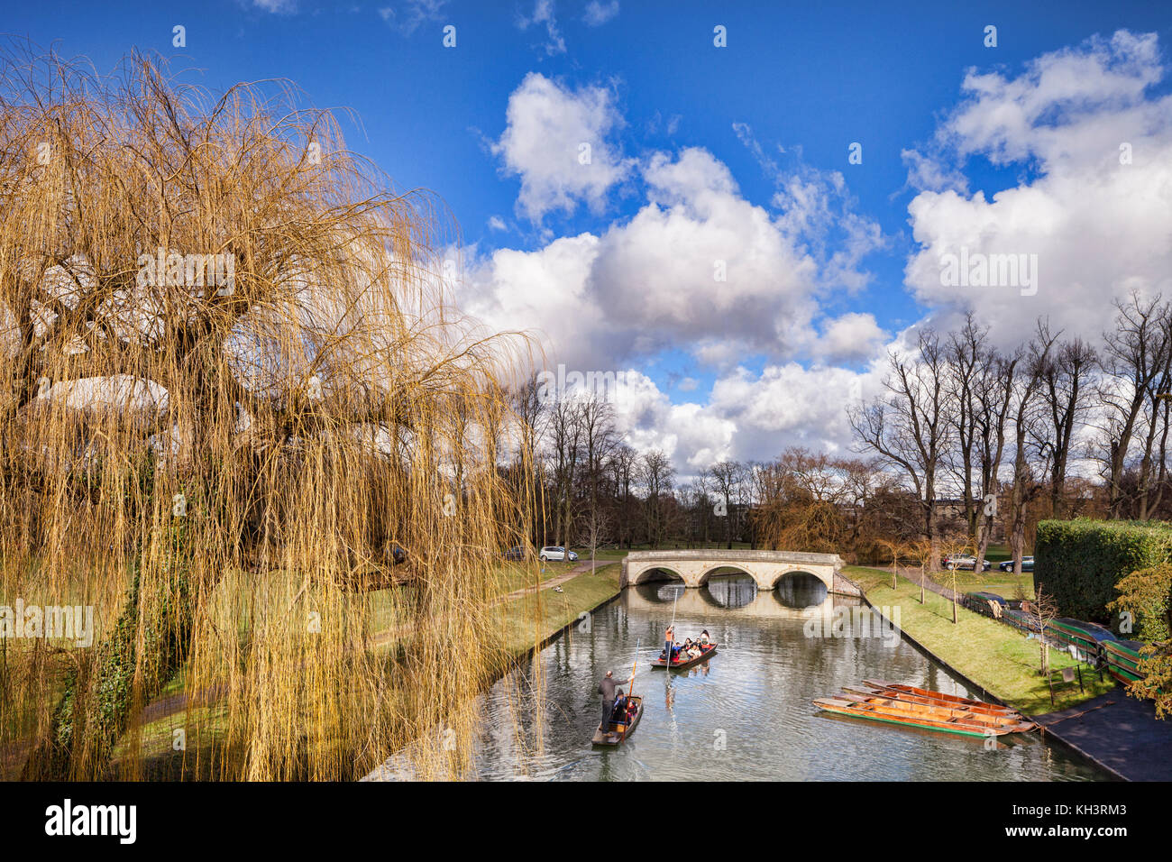 Punts del río Cam en Cambridge a través de los jardines de Trinity College. Foto de stock