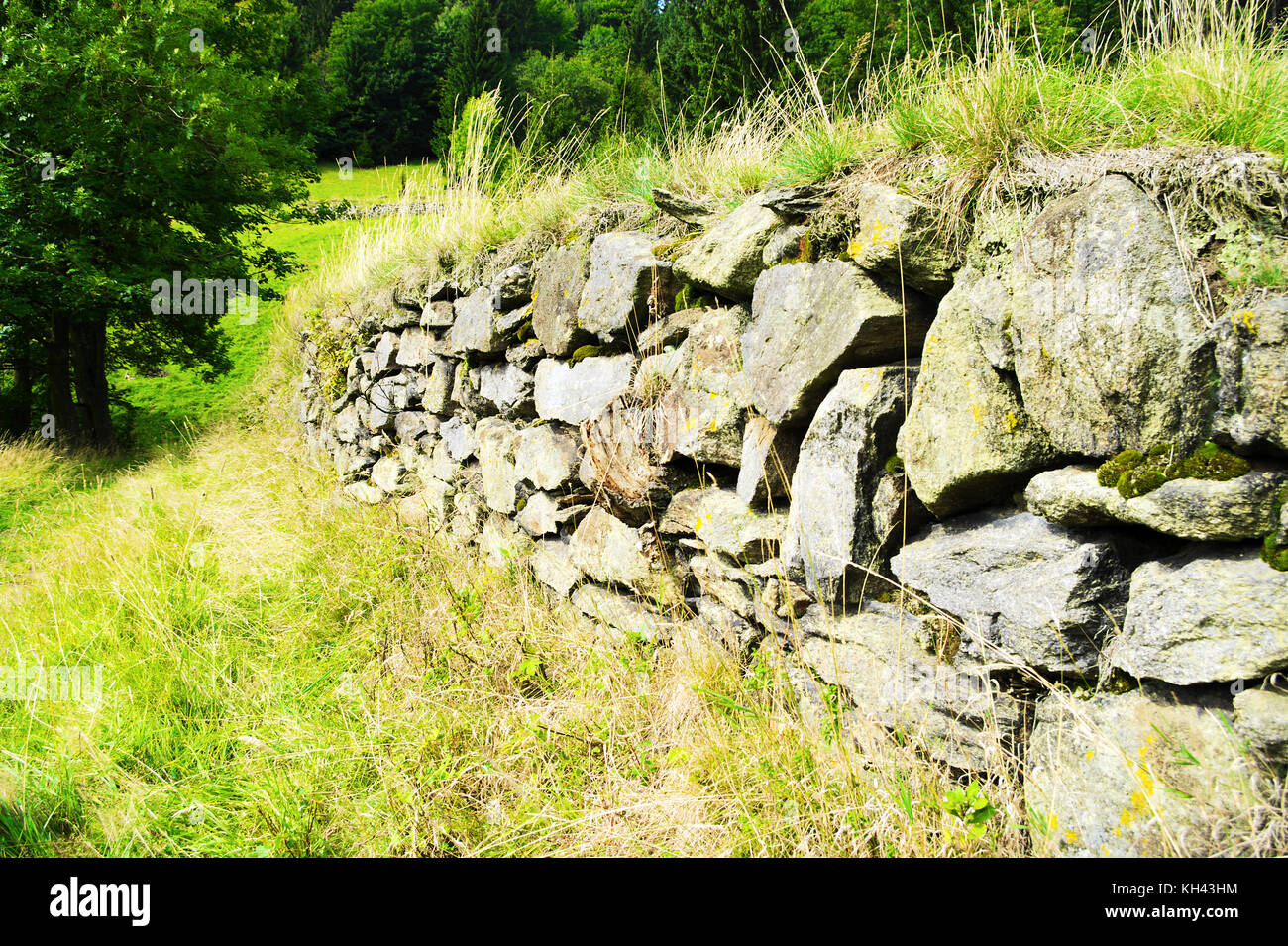 Muro de contención de piedra rugosa. viejo muro de retención junto a los senderos en el parque paisajístico de las montañas owl, los sudetes, al sur-oeste de Polonia. Foto de stock
