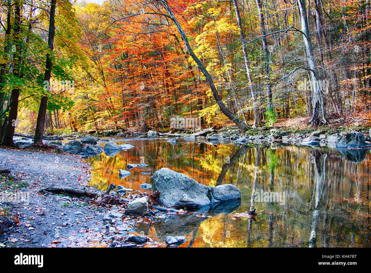 El río negro durante el pico de la caída del follaje, Ken lockwood State Park, New Jersey Foto de stock