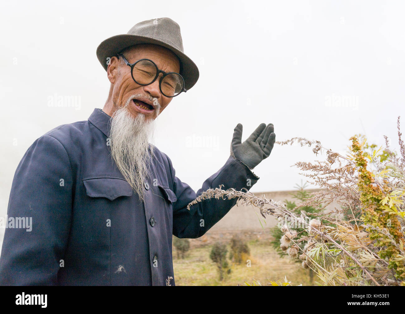 Retrato de un viejo hombre chino con una larga barba blanca en Hezuo  monasterio, provincia de Gansu, Hezuo, China Fotografía de stock - Alamy