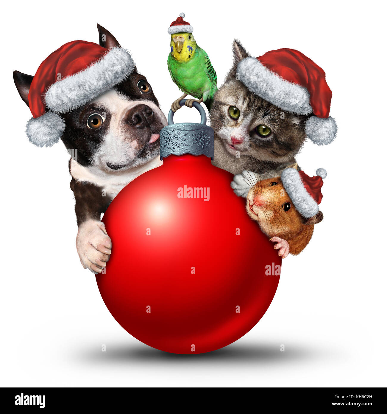 Mascotas decoración de navidad ornamento como un lindo gato cachorro y pájaro con un adorable hamster llevando un gorro de Papá Noel como un símbolo de temporada de invierno. Foto de stock