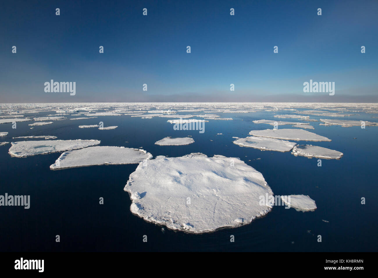 / Los témpanos de hielo a la deriva en el Océano Ártico, Nordaustlandet / noreste de Tierra / Svalbard, Spitsbergen, Noruega Foto de stock